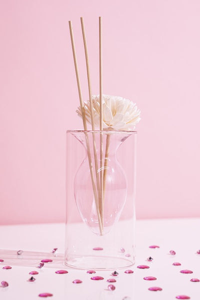 Double Layer Transparent Glass Vase - Pink